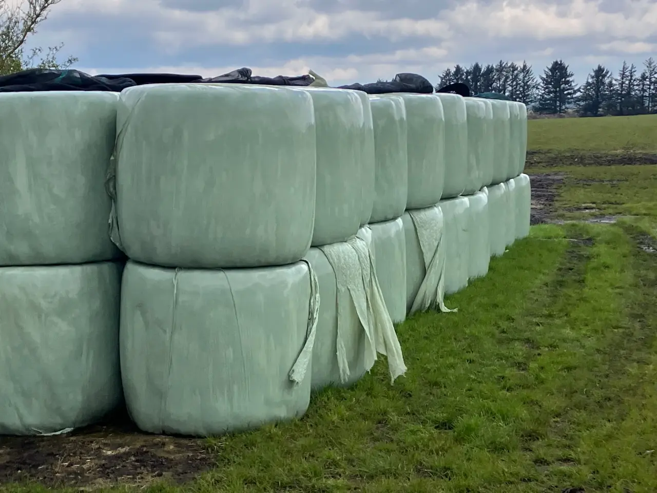 Billede 1 - Wrap evt.til heste