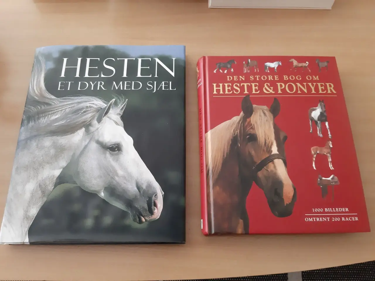 Billede 1 - Flotte Bøger om HESTE.