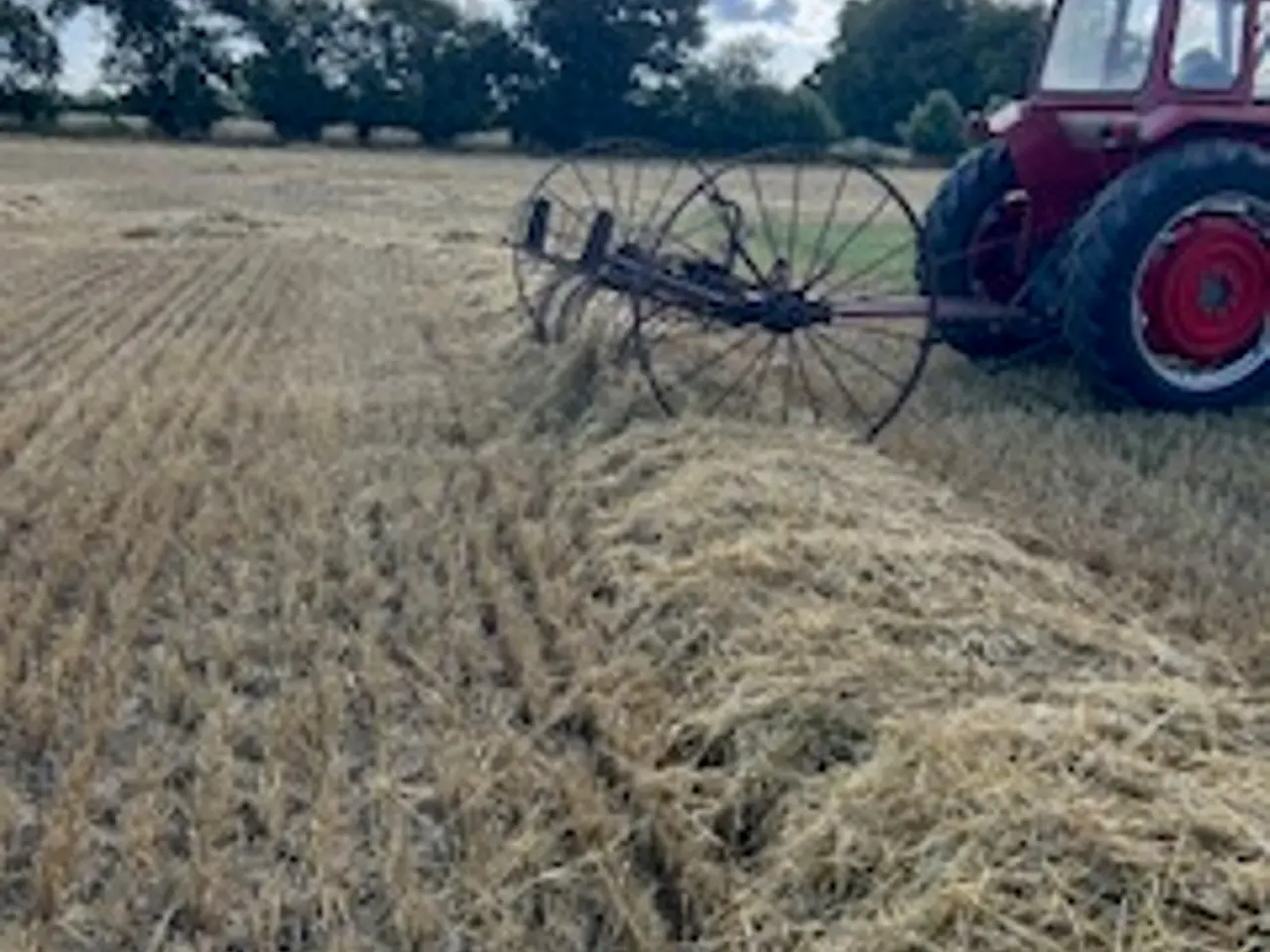 Billede 2 - Høvender & Hesterive fungere perfekt inkl. patina