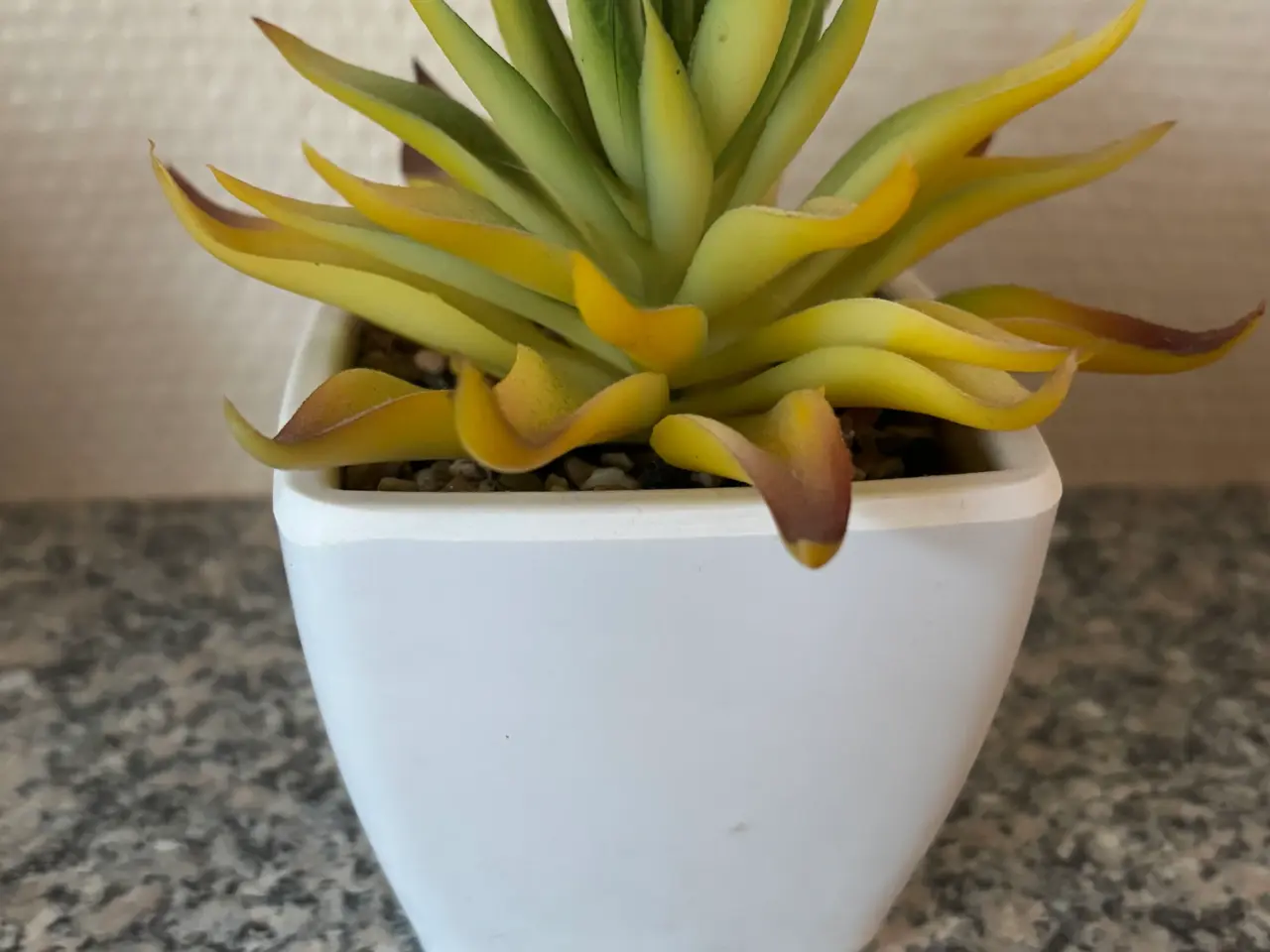 Billede 8 - 4 små plastik planter 