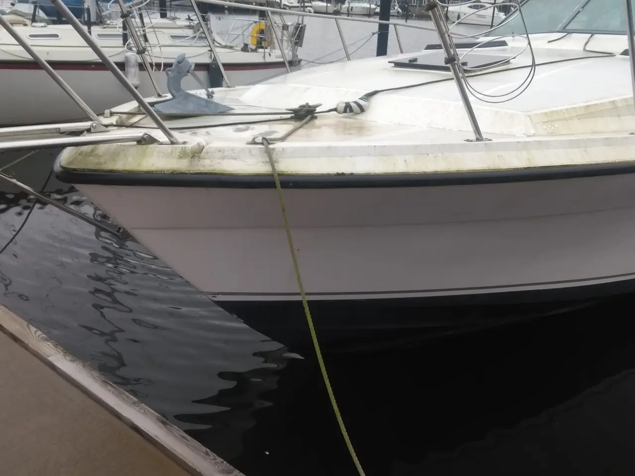 Billede 13 - Bayliner Conquiest 3250