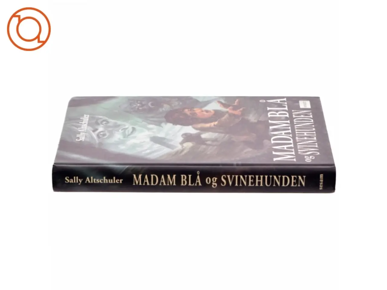 Billede 2 - Madam Blå og Svinehunden af Sally Altschuler (Bog)