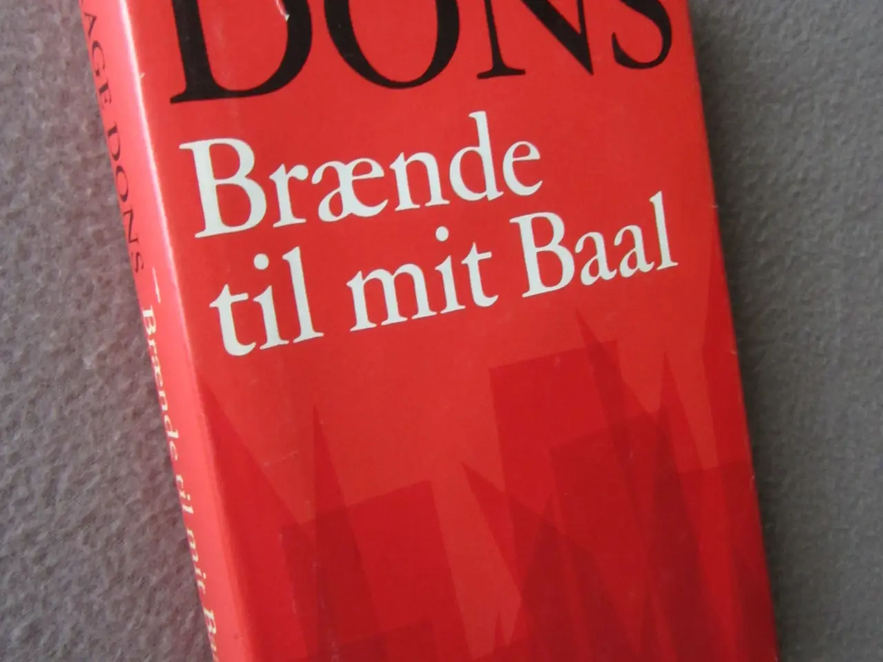 Billede 1 - Roman  "Brænde til mit bål"