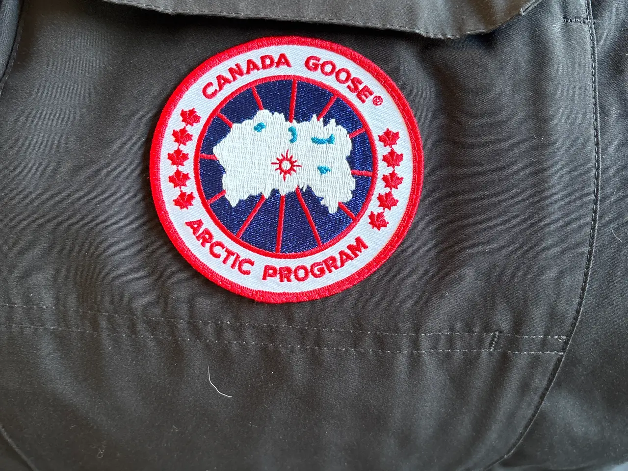 Billede 4 - Canada Goose