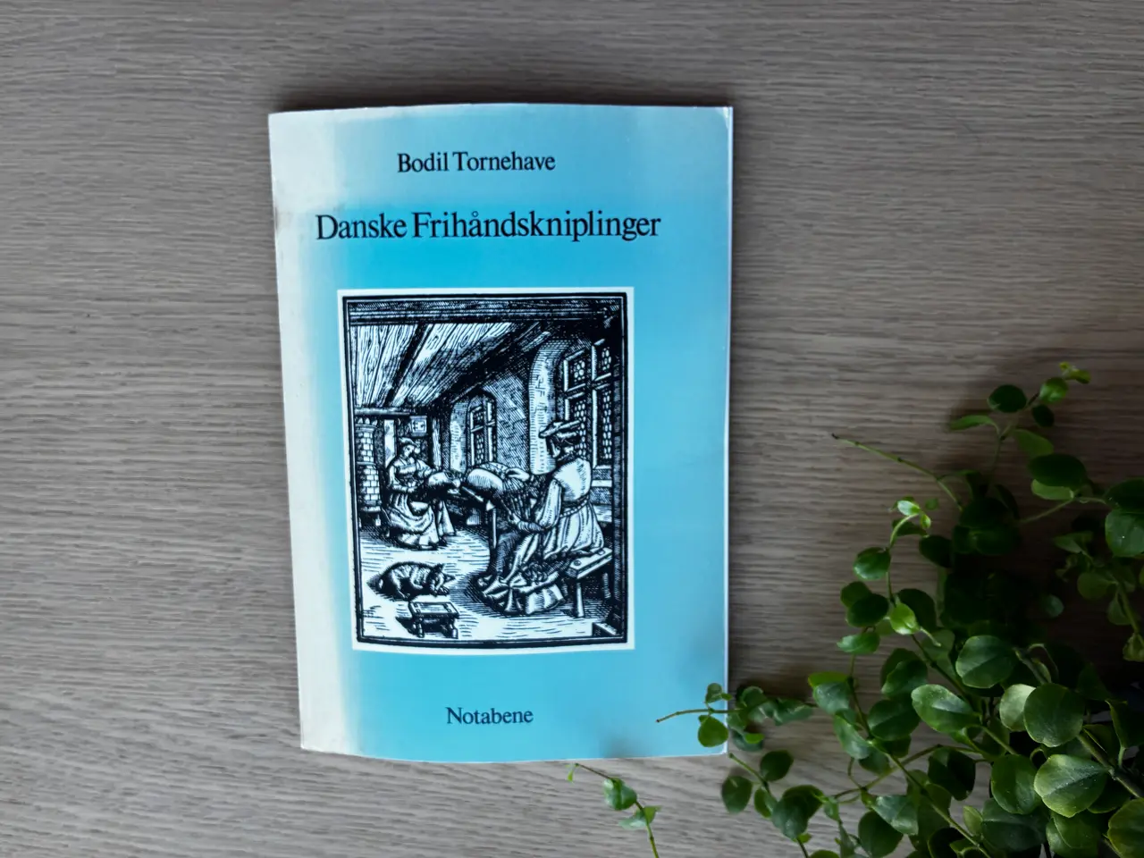 Billede 1 - Danske Frihåndskniplinger - Bodil Tornehave