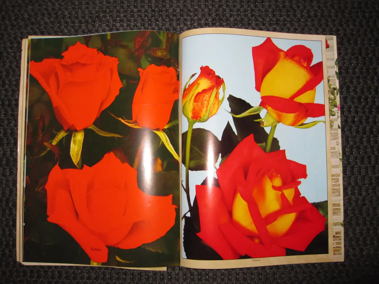 Billede 7 - Dekupage.