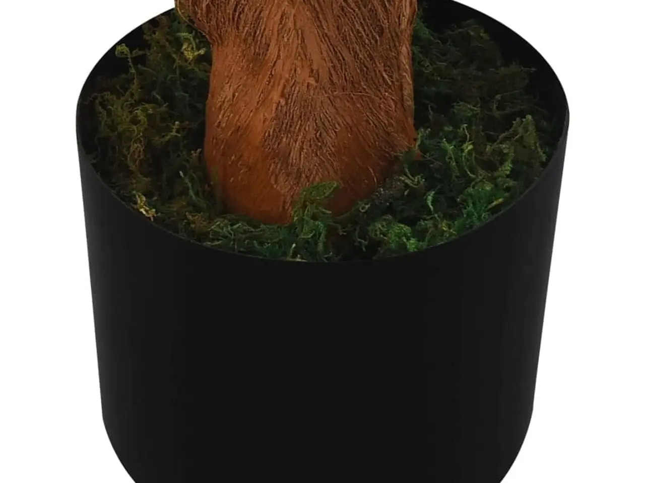 Billede 5 - Kunstig cycaspalme med potte 160 cm grøn