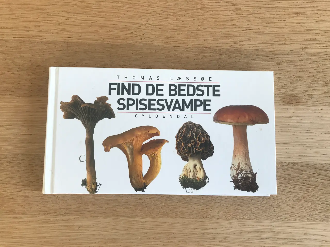 Billede 1 - Find de bedste spisesvampe