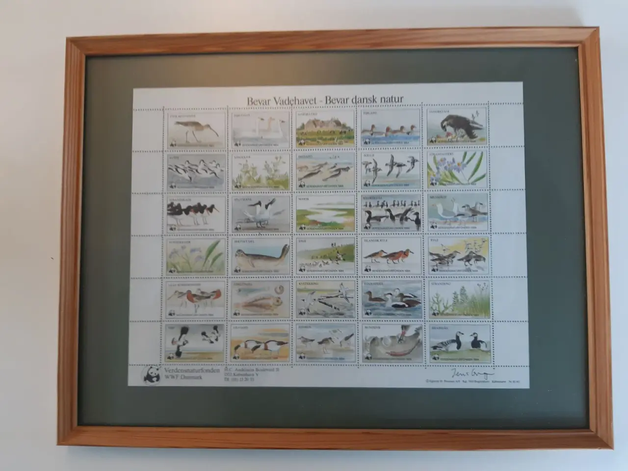 Billede 1 - WWF Naturmærker i ramme.