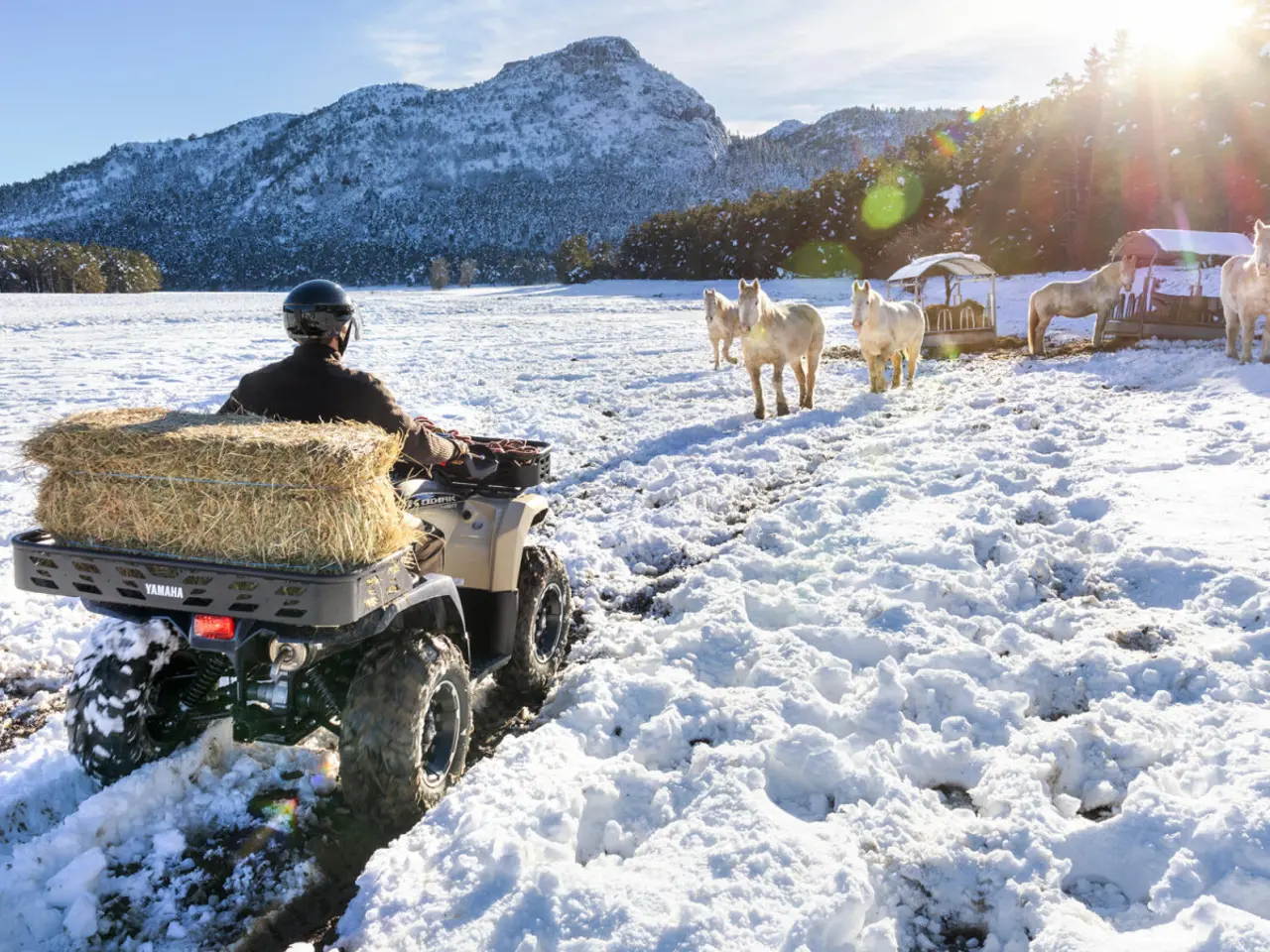 Billede 3 - Yamaha Kodiak 450 EPS Kiwami - Traktor