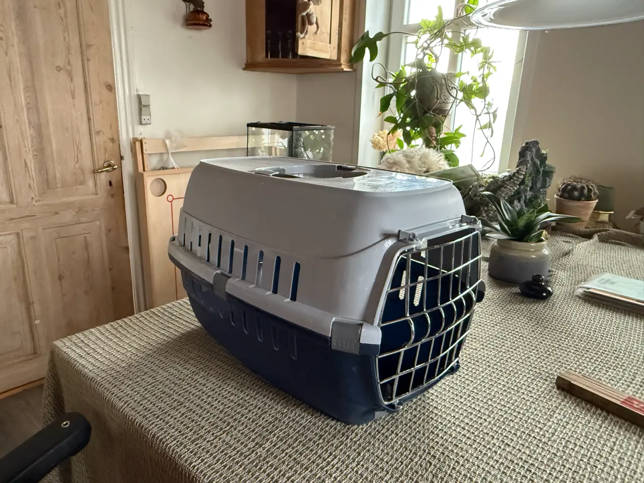 Billede 1 - Mindre Transportkasse
