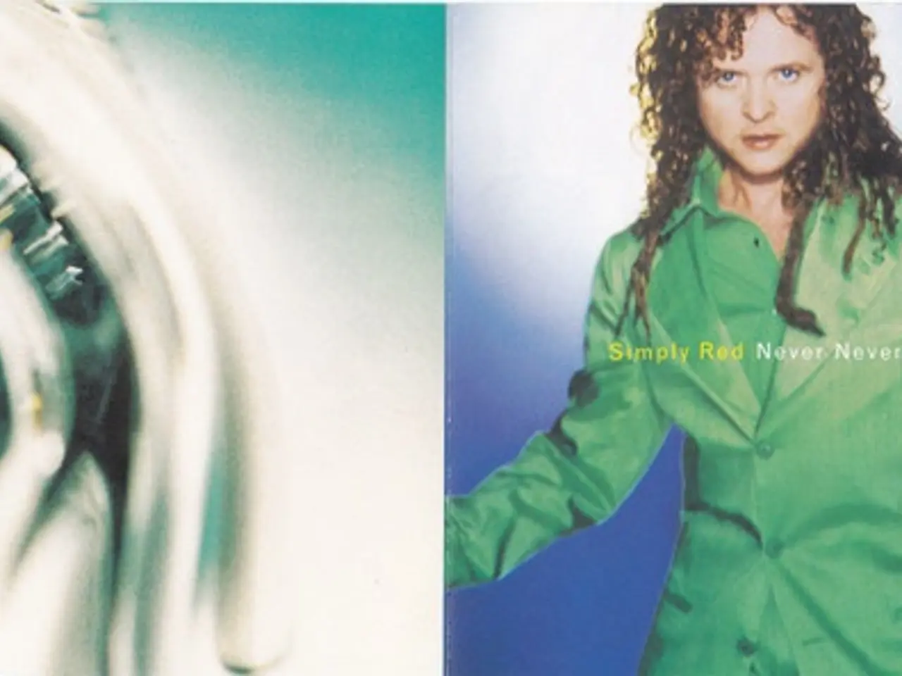 Billede 4 - Simply Red – Never Never Love – CD