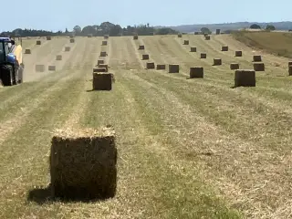 Hø. 