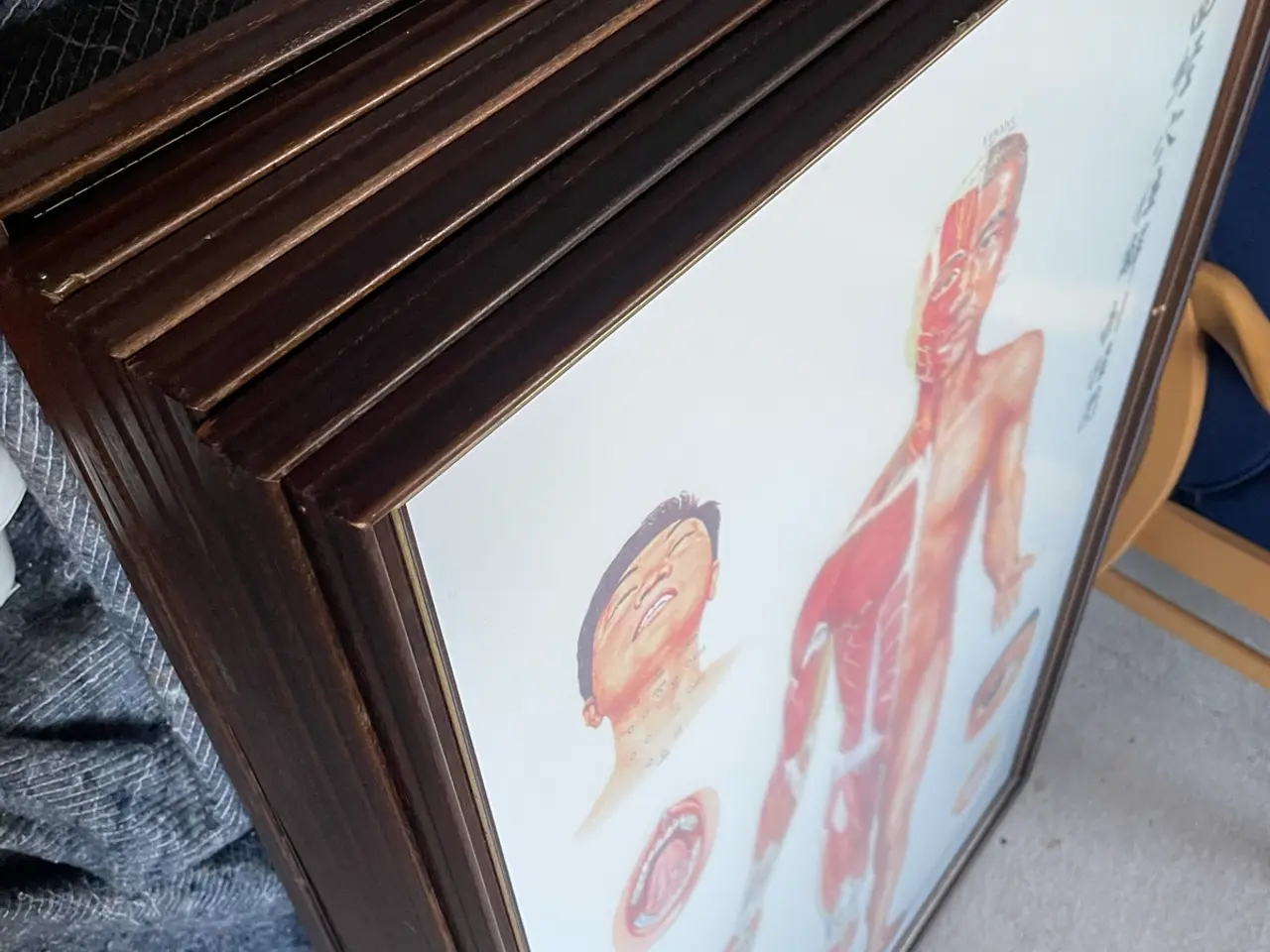Billede 7 - Indrammede anatomi plakater