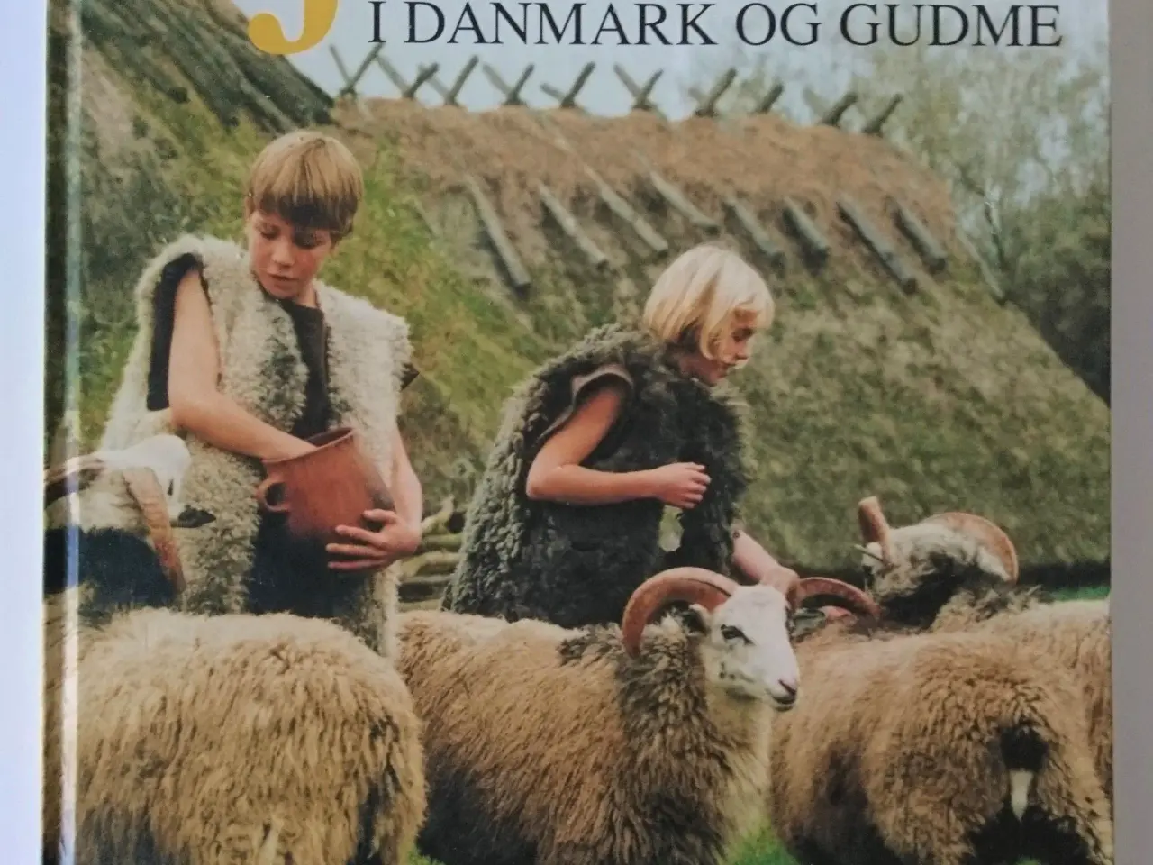 Billede 1 - Jernalder i Danmark og Gudme. Karsten Kjer Michael
