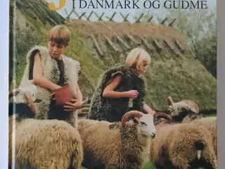 Jernalder i Danmark og Gudme. Karsten Kjer Michael