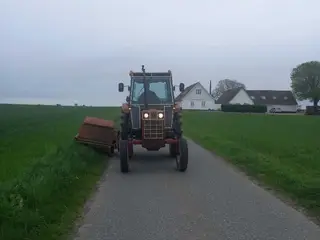 Grønthøster sælges