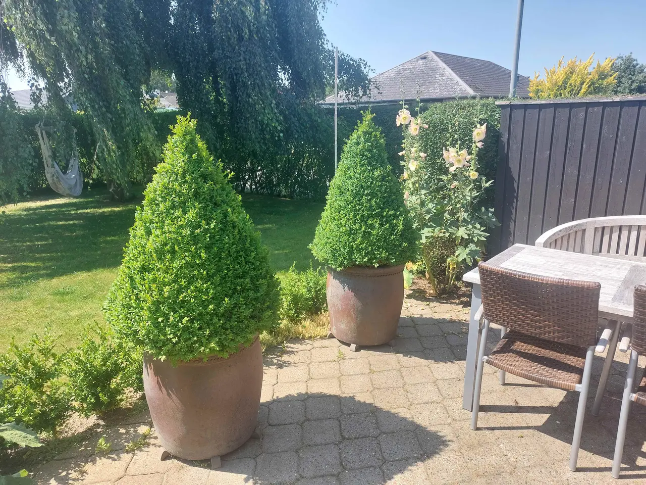 Billede 1 - Beplantning til hoveddøren ved en herskabsvilla.