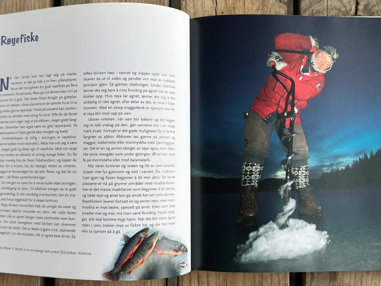 Billede 5 - Mitt Nordmarka – Kai Jensen, Odd Børretzen – Norsk