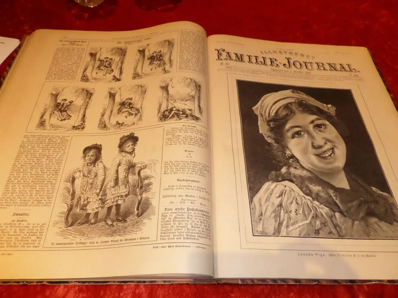 Billede 3 - Indbundet Familie Journal årgang 1895/1910