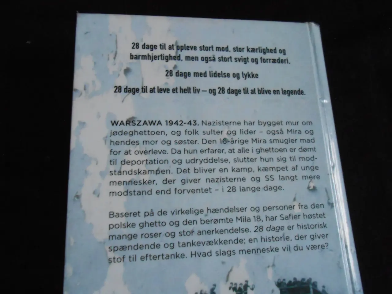 Billede 2 - 28 dage af David Safier