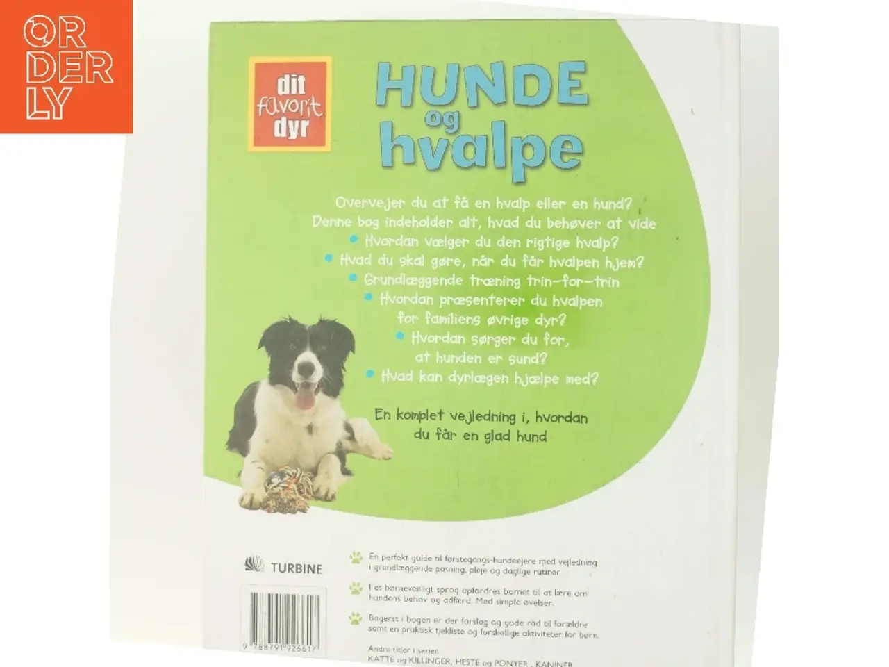 Billede 3 - Hunde og hvalpe af Michaela Miller (Bog)