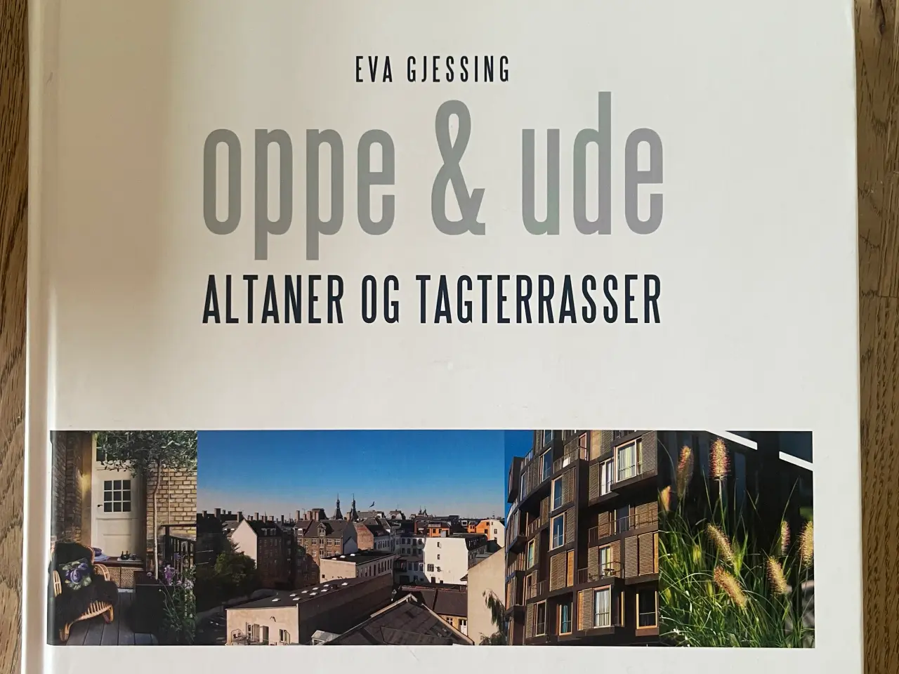 Billede 1 - oppe & ude Altaner og tagterrasser, Eva Gjessing