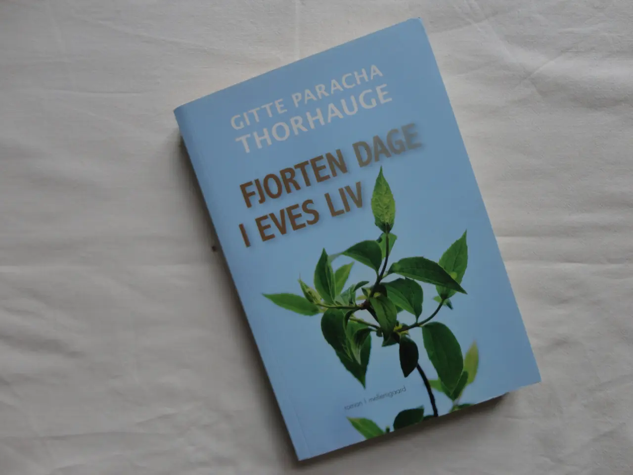 Billede 1 - Fjorten dage i Eves liv :