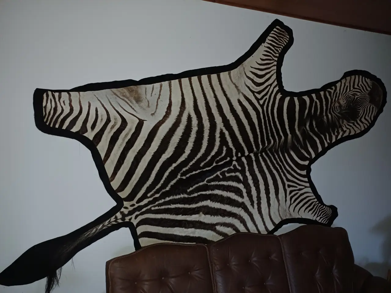 Billede 1 - Zebraskind, Crawshays zebra
