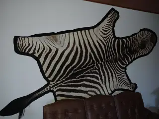 Zebraskind, Crawshays zebra