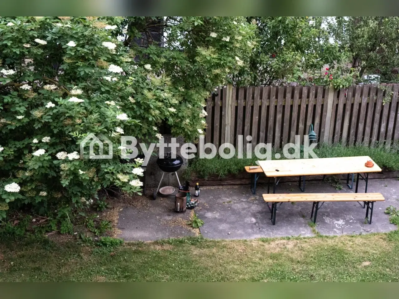 Billede 8 - Solnedgange, æbletræer og ro midt på Nørrebro til 3.535/m.