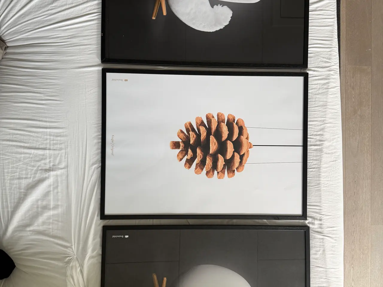 Billede 4 - Brandchild billeder 