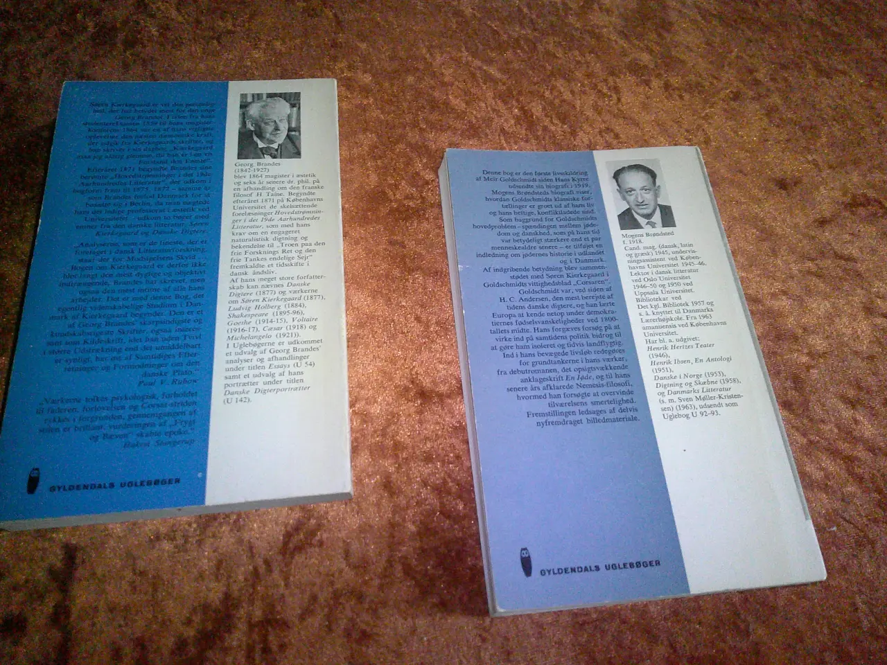 Billede 2 - Søren Kierkegaard m.fl, Georg Brandes m.fl.