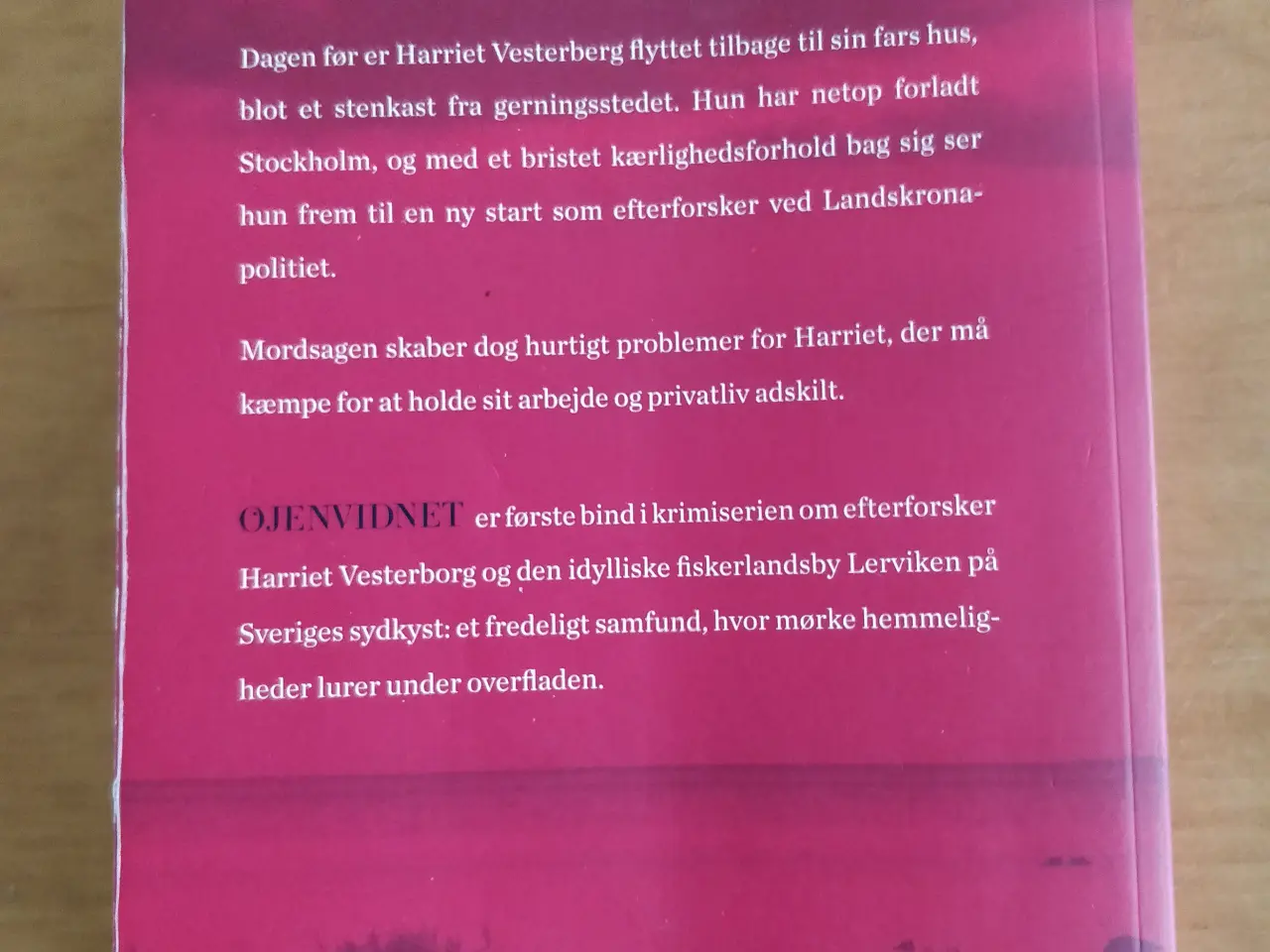 Billede 4 - Øjenvidnet, Anna Bågstam