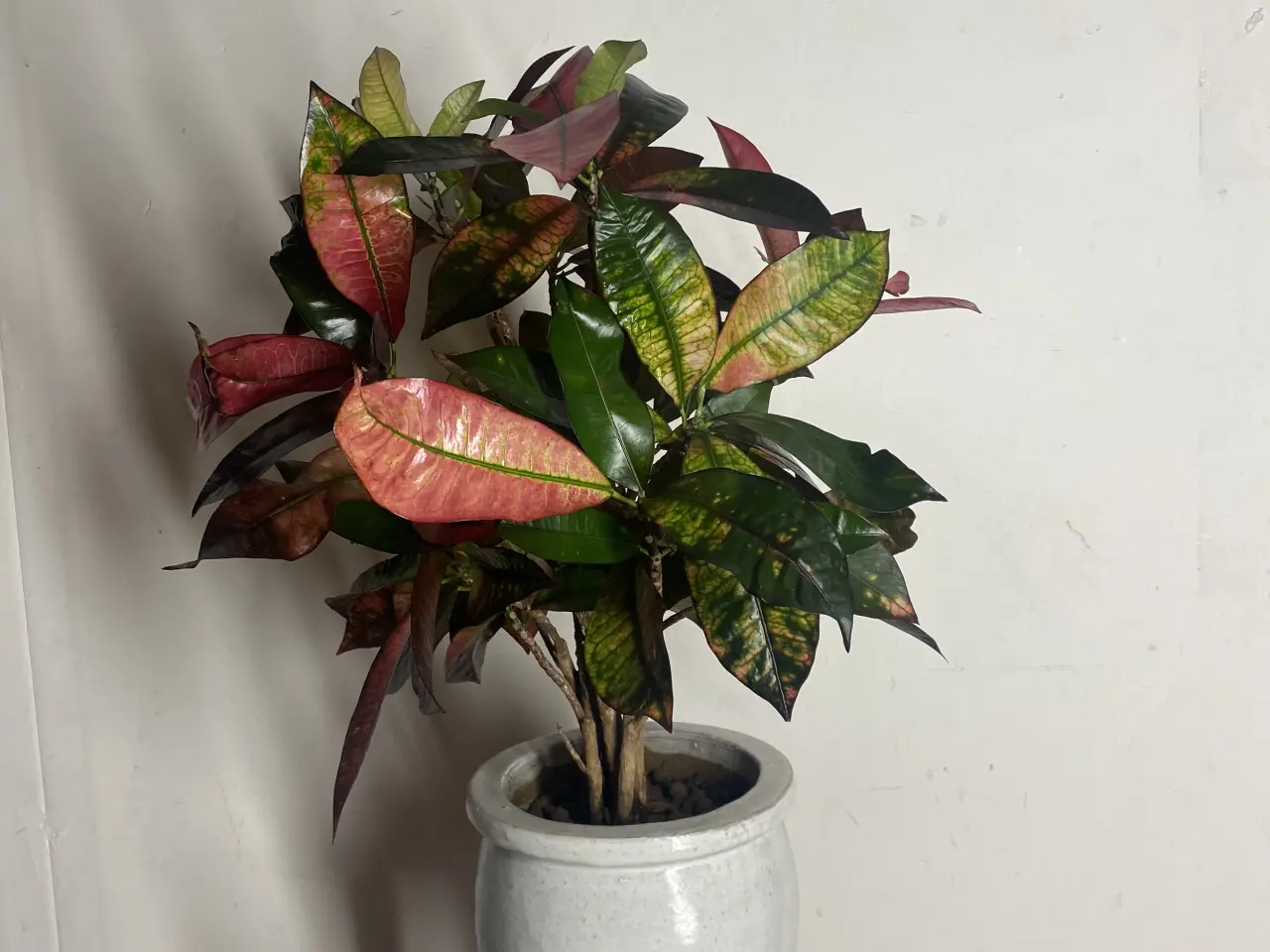 Billede 4 - Genbrugs Planter