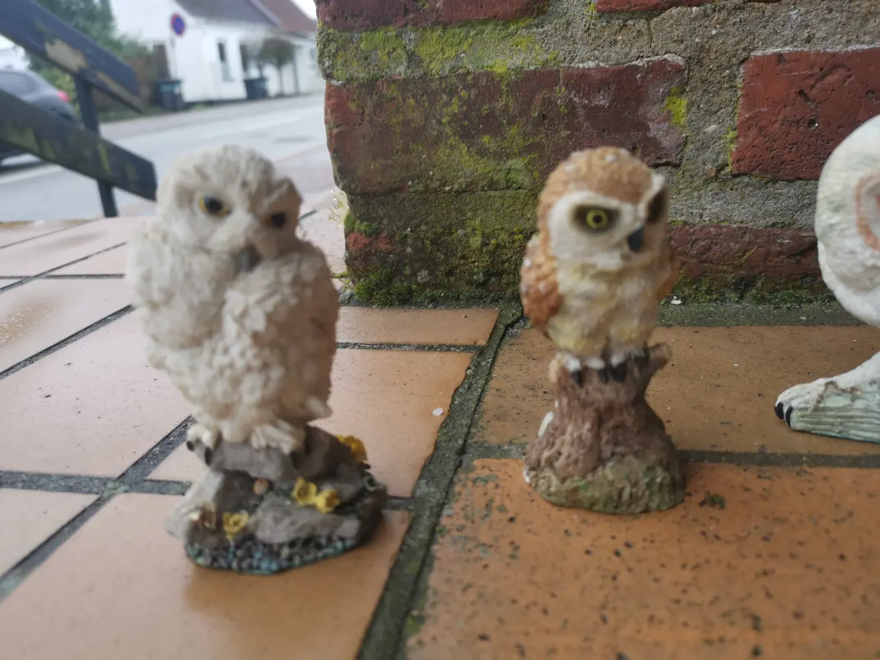 Billede 3 - The Magnificent World of Owls Figurer Ugler