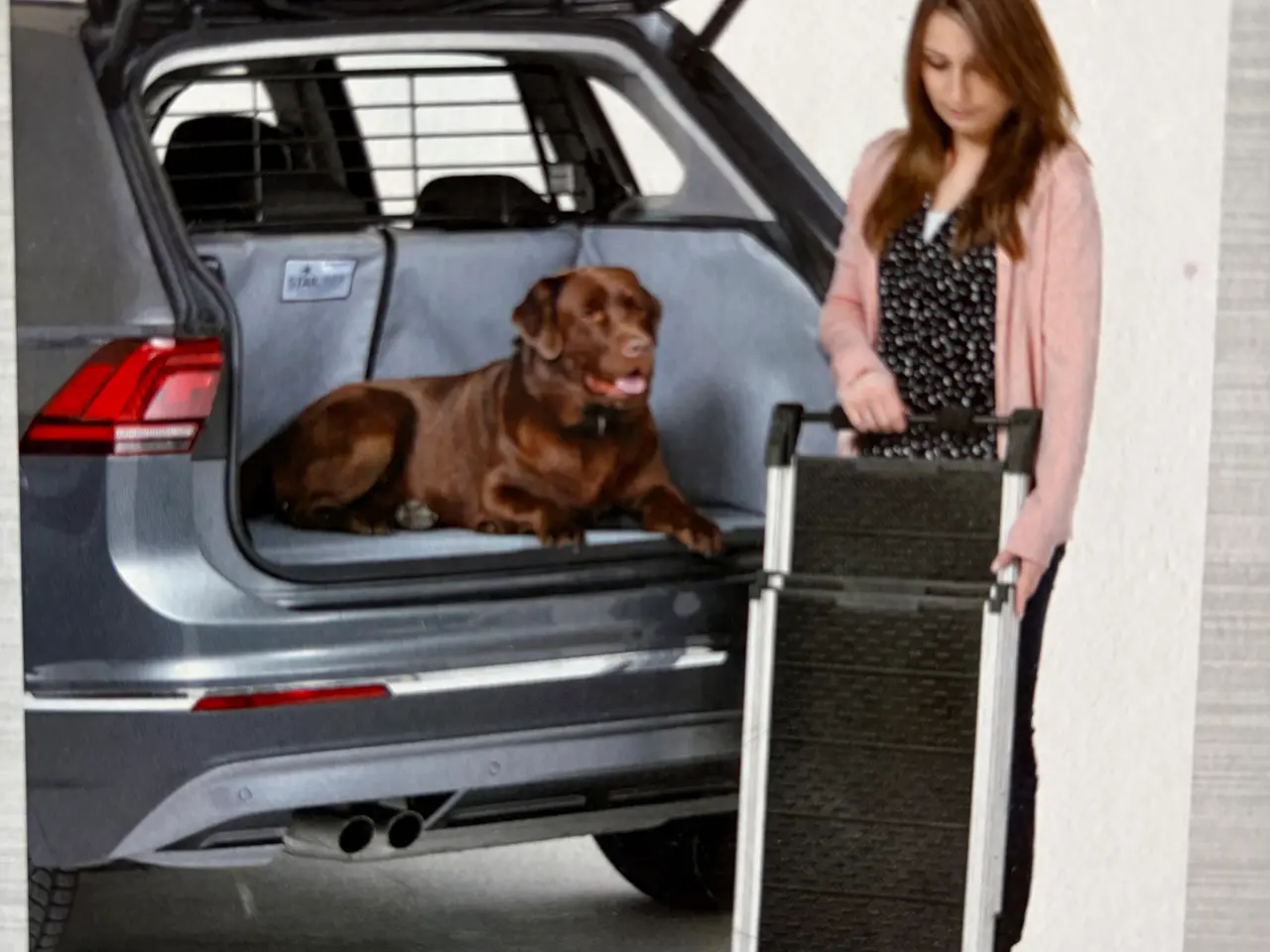 Billede 1 - Bagagerumbeskyttelse til hund