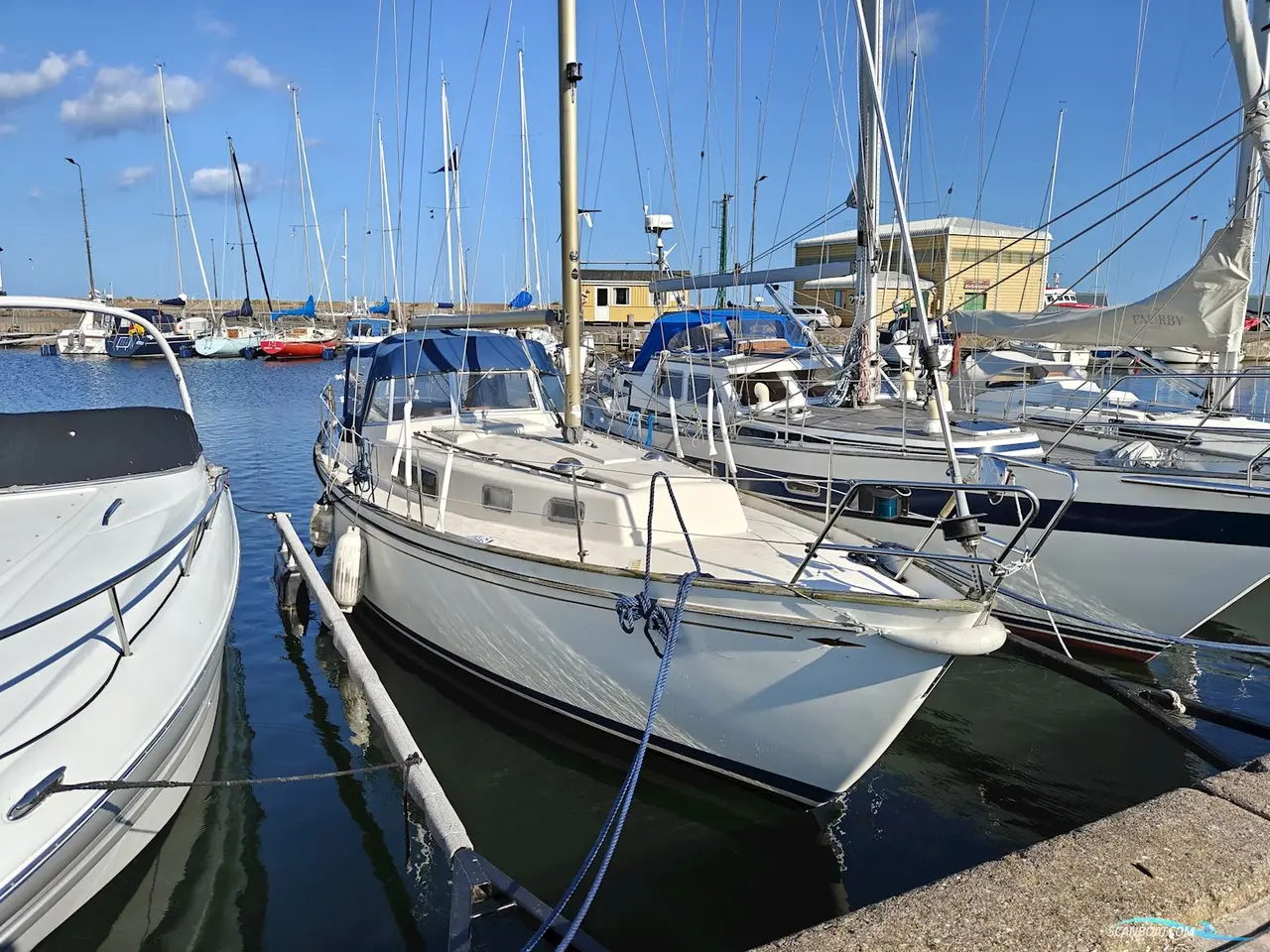 Billede 2 - Hallberg Rassy Rasmus 35