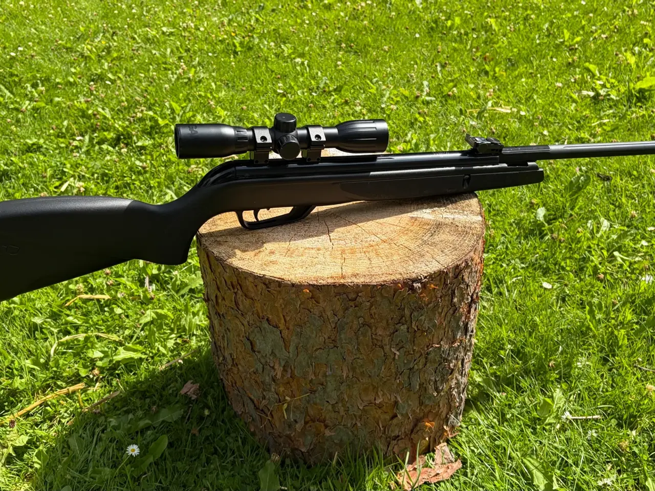 Billede 1 - Gamo - Black Bear Luftgevær