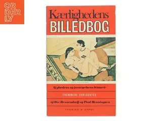 Kærlighedens billedbog (Bog)