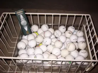Golfbolde