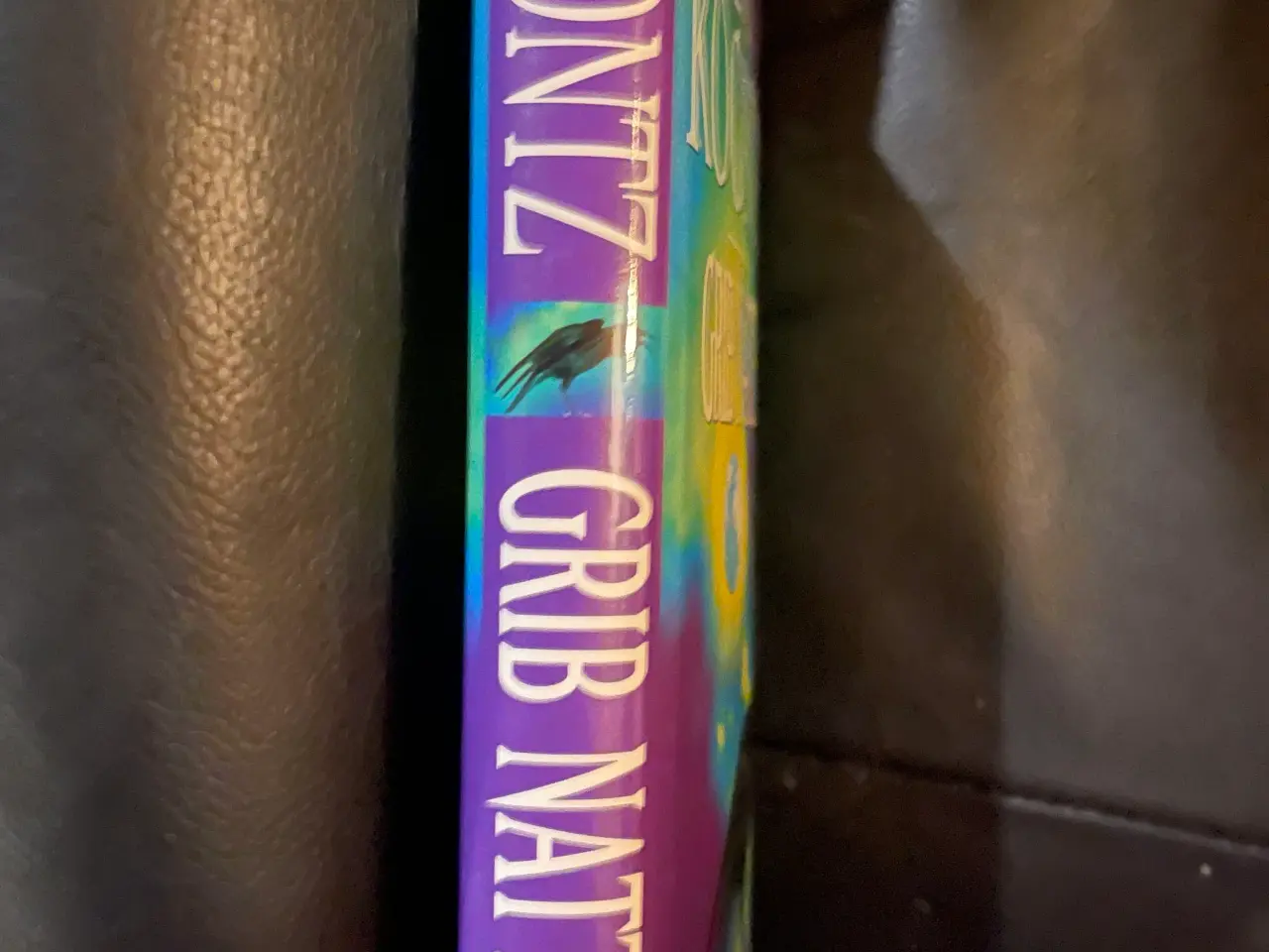 Billede 3 - Grib natten af Dean koontz