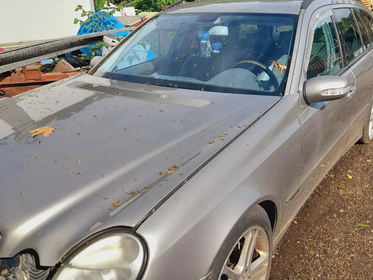 Billede 1 - Motor og Gearkasse til Mercedes E-class 320