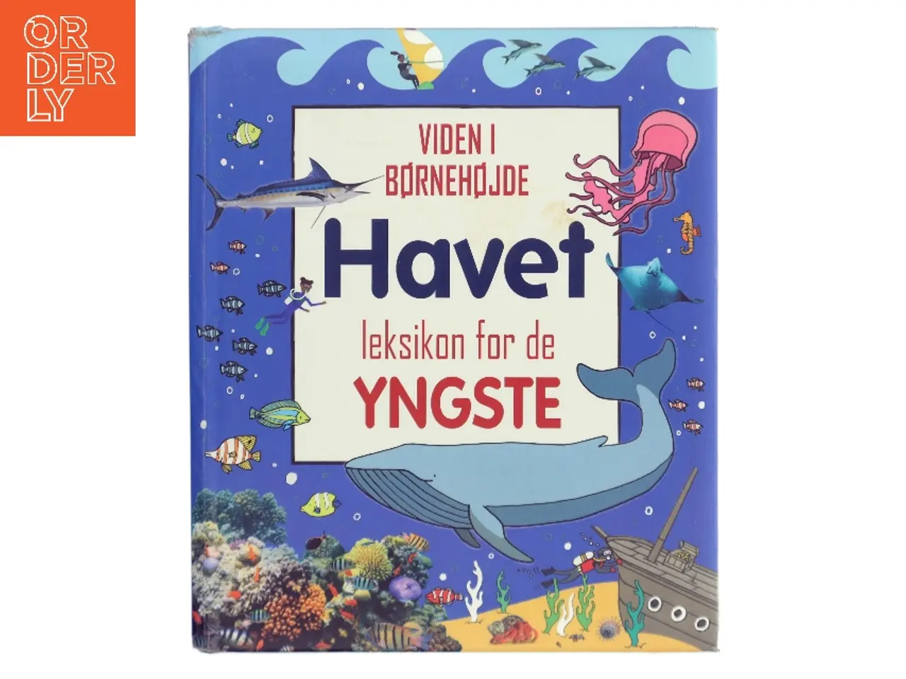 Billede 1 - Havet – leksikon for de yngste af Ukendt forfatter (Bog)