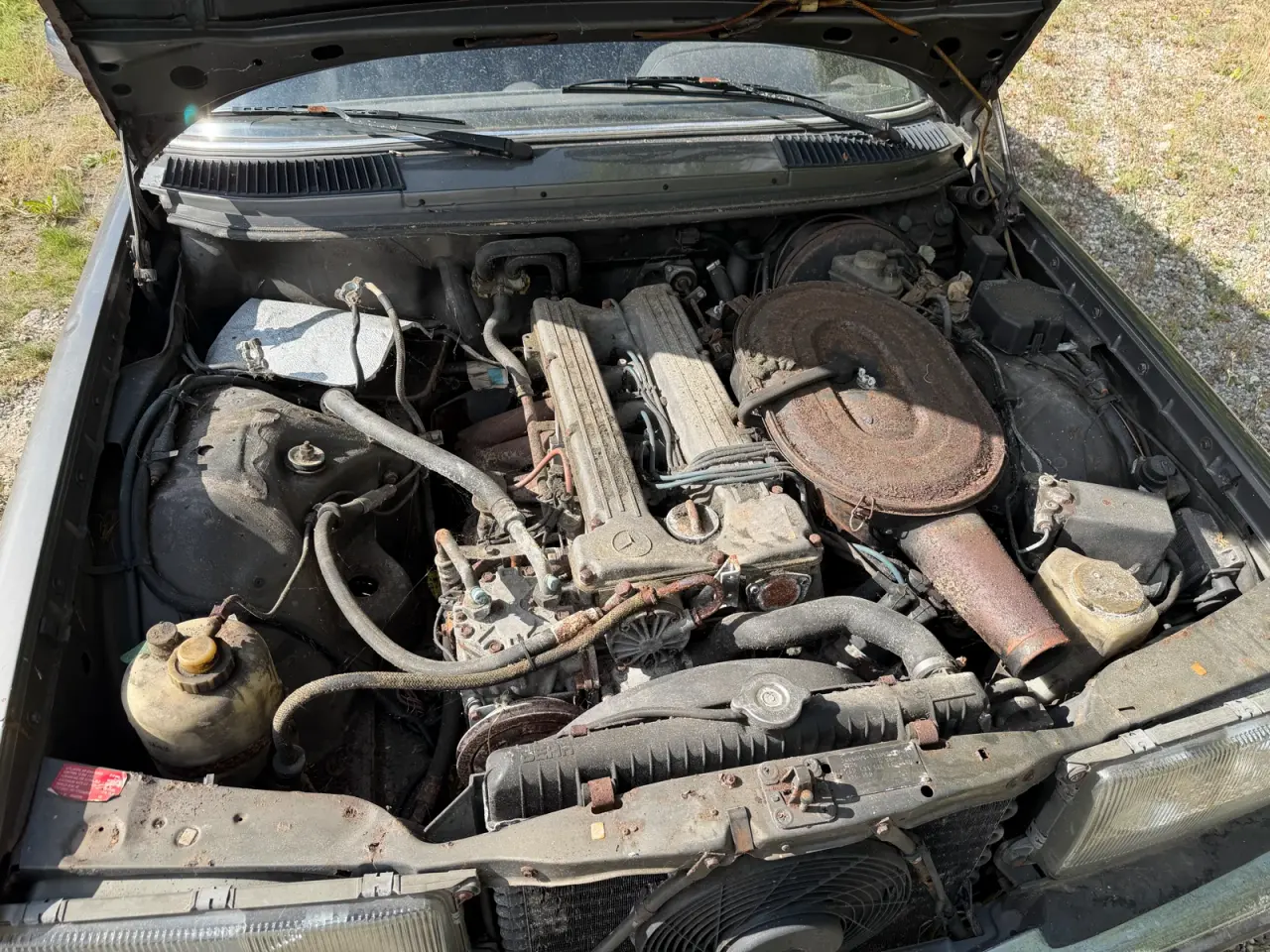 Billede 6 - Mercedes 123 250t