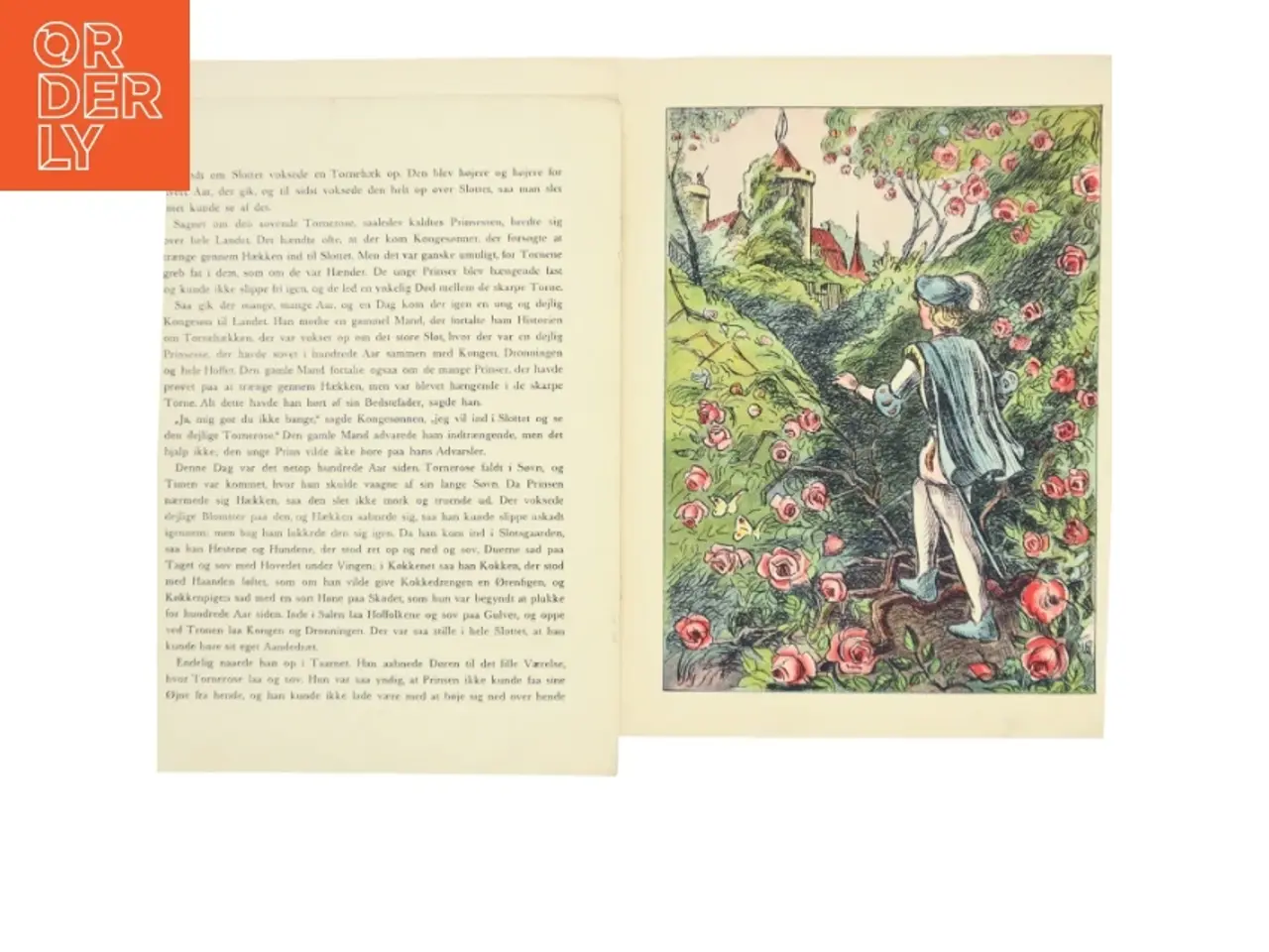 Billede 1 - Torne Rose Billedbog fra Carl Larsens Forlag