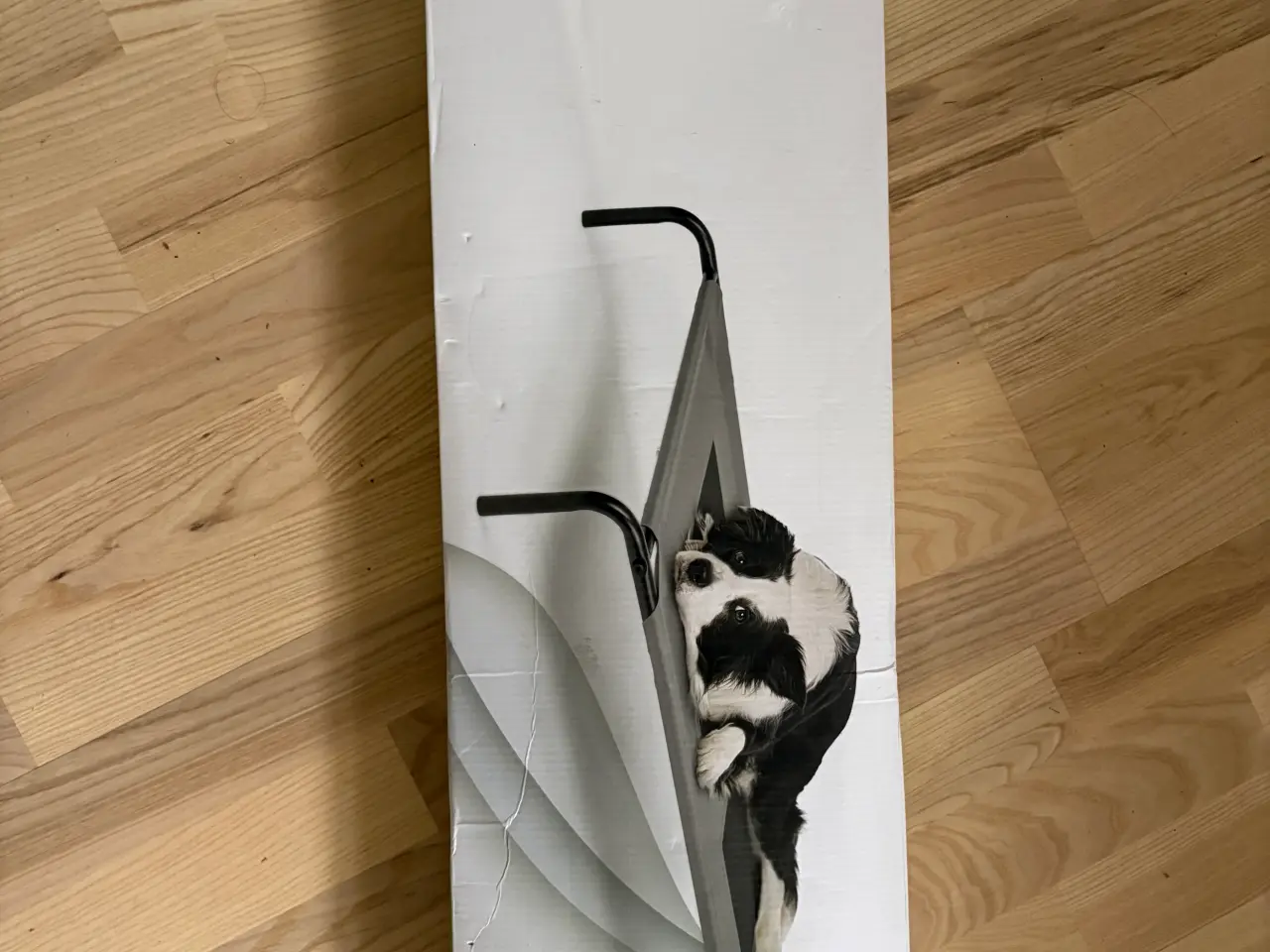 Billede 3 - Helt ny hundeseng dog bed