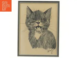 Indrammet katte portræt (str. 28x21 cm)