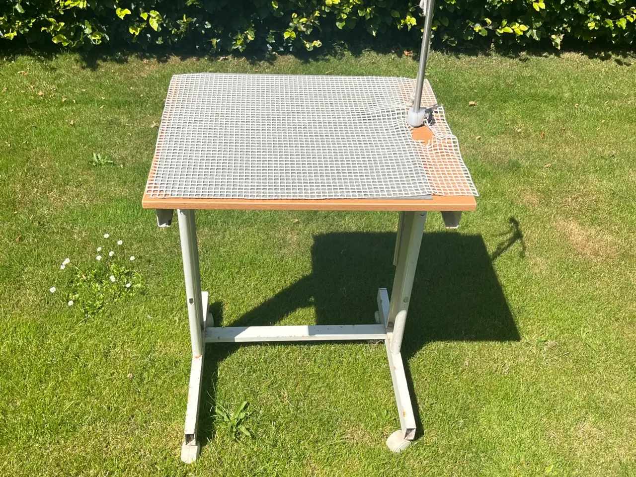 Billede 2 - Trimmebord til hund eller kat