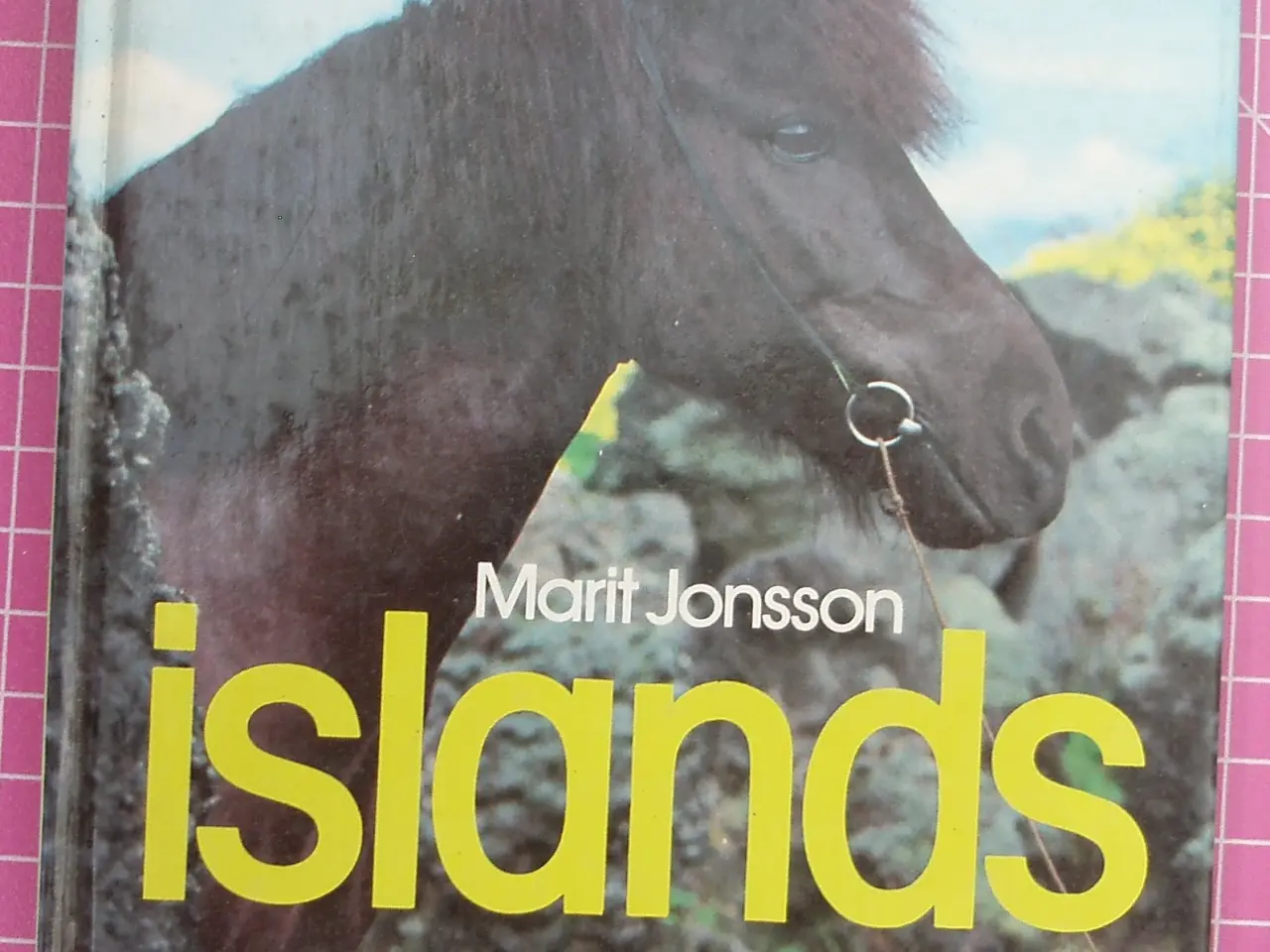Billede 1 - Islands hesten af Marit Jonsson